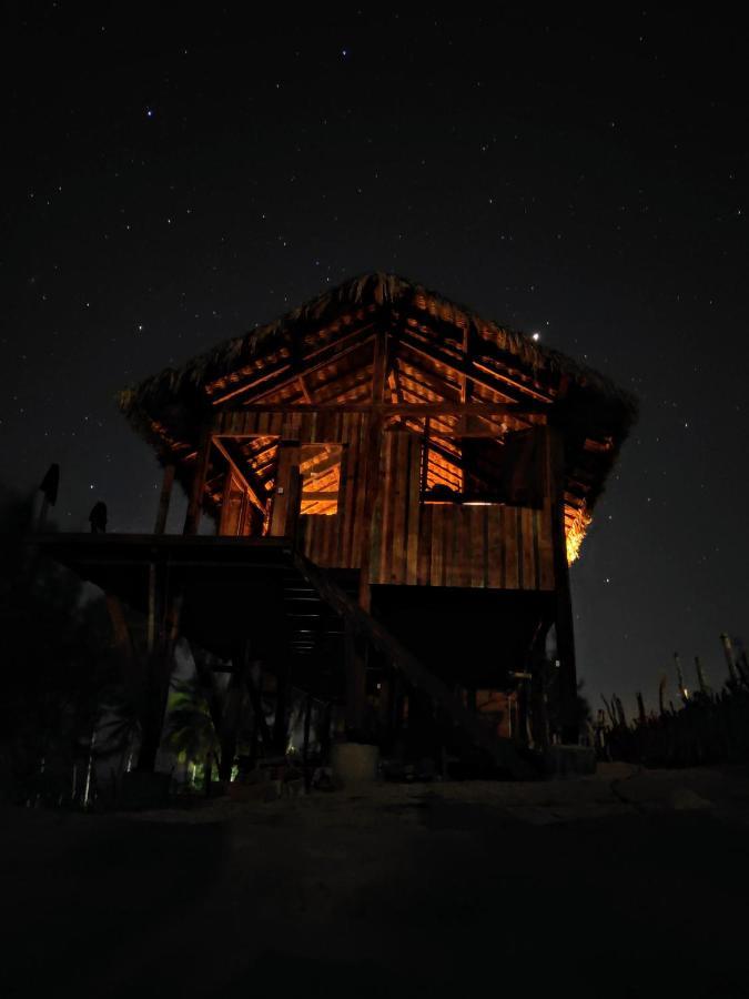 Divino Eco-bungalow, Kite Front, Amazing View! *